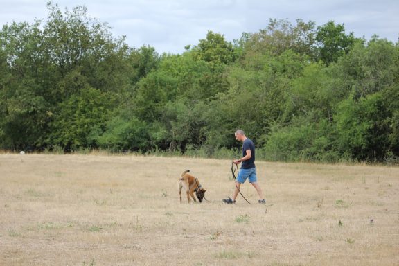 Nos activités "Le Kiff du Pif" : Cavage, Nosework, Hunting games, Recherche de personnes ou d'objets... Nos activités "Le Kiff du Pif" : Cavage, Nosework, Hunting games, Recherche de personnes ou d'objets...