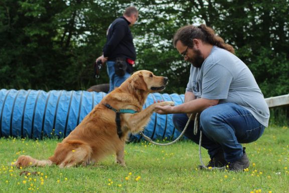 Education canine positive en Haute-Marne Education canine positive pour sublimer la relation homme-chien